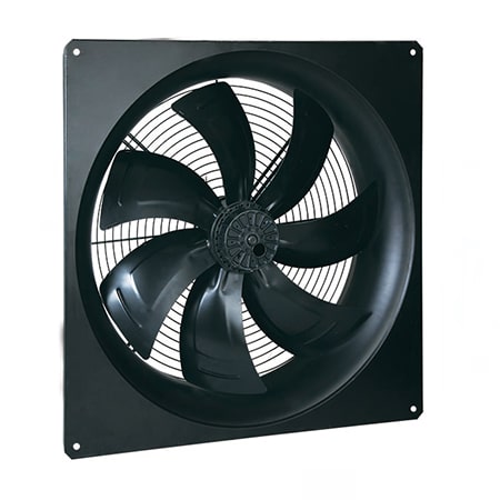 Wieguang Fan
